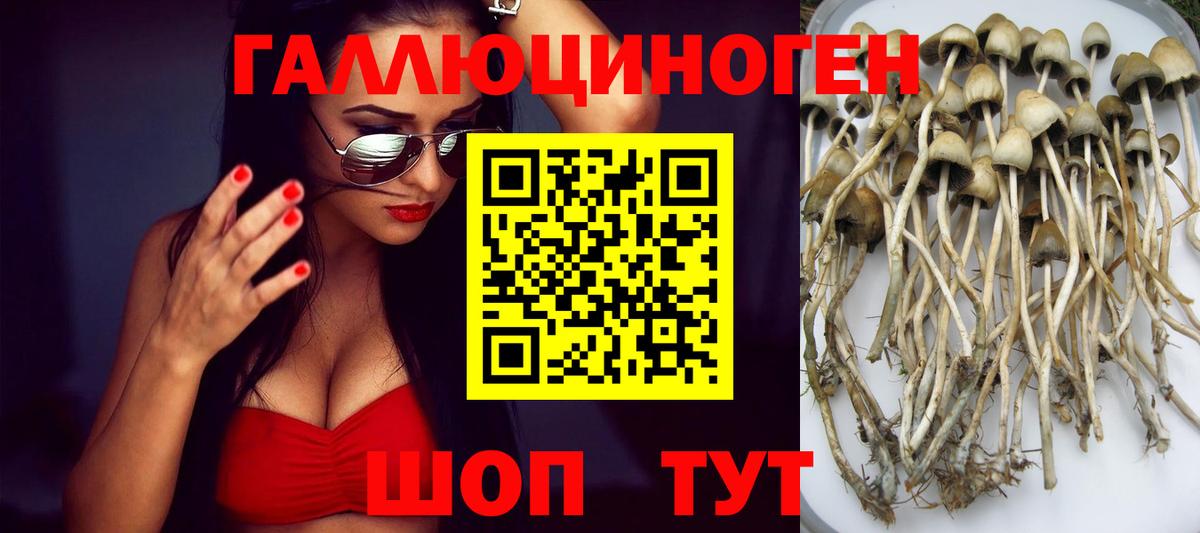 Псилоцибиновые грибы GOLDEN TEACHER  Вход с VPN  Краснотурьинск 